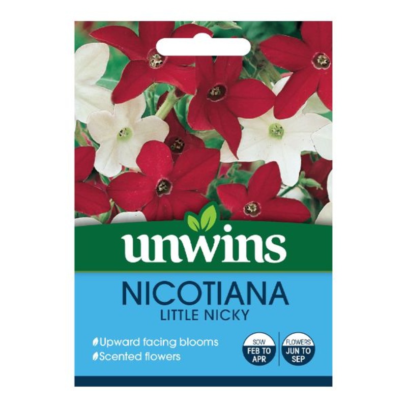 Unwins Seed Packet Nicotiana Little Nicky