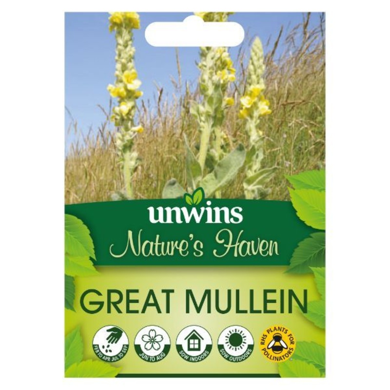 Unwins Seed Packet Natures Haven Verbascum Thapsus (Great Mullein)