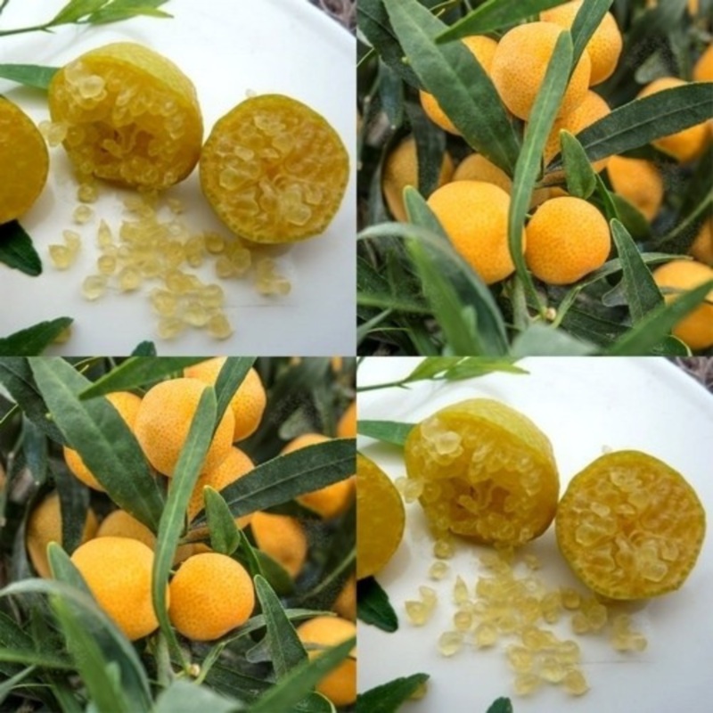 Eremorange