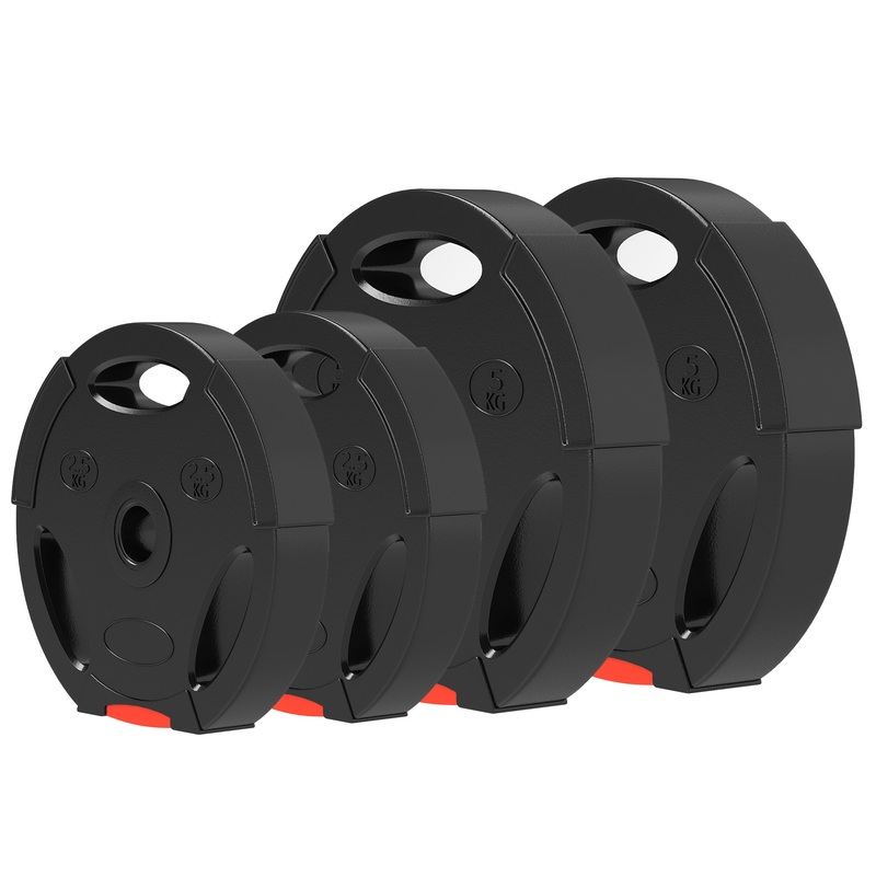 1-Inch Weight Plates, Barbell Weights Set for Weightlifting and Strength Training, 2 x 11lbs + 2 x 5.5lbs