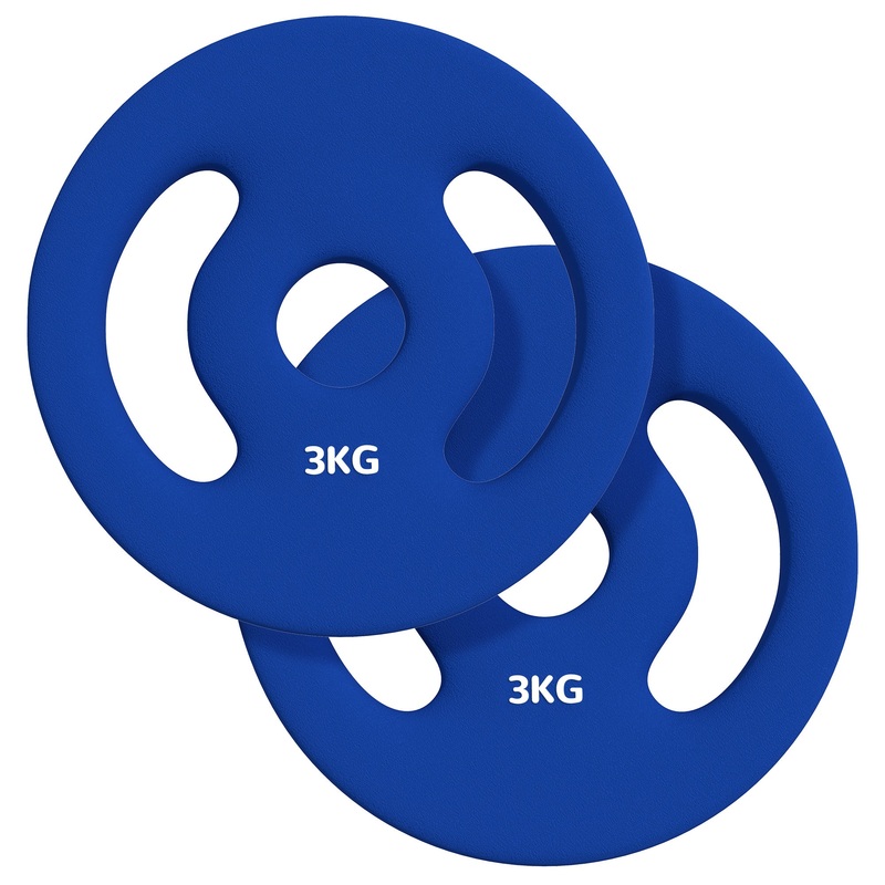 2 x 6.6lbs Standard Weight Plates with Easy-Grip Handles, 1 Holes, for Home, Gym, Weight Lifting and Strength Training